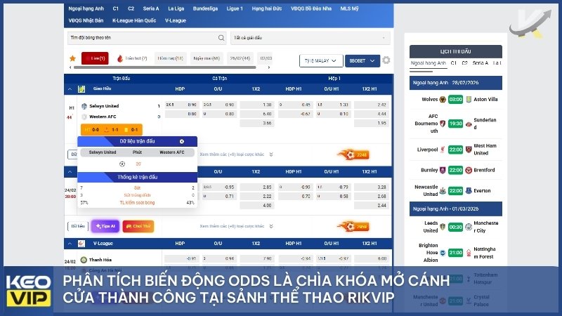 Phân tích biến động Odds là chìa khóa mở cánh cửa thành công tại sảnh thể thao Rikvip.